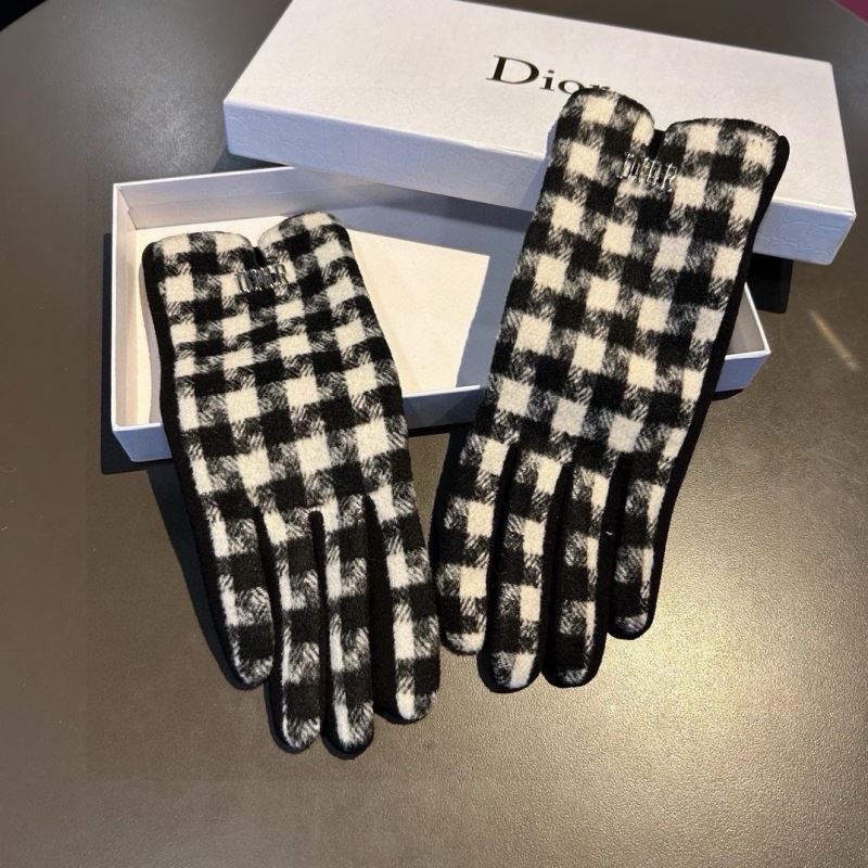 Christian Dior Gloves